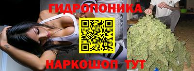 ALPHA PVP Гай