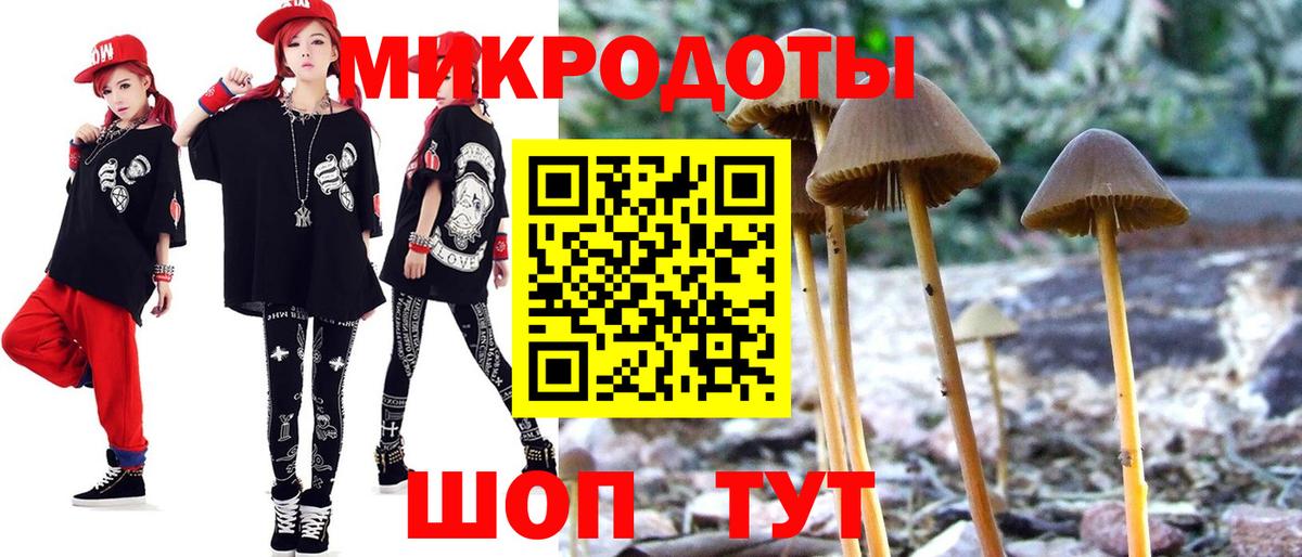 Галлюциногенные грибы ЛСД Дербент